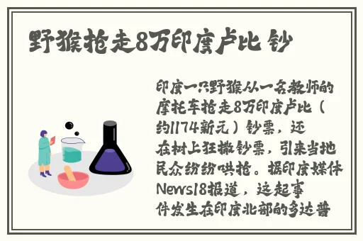 糙汉民工和软萌大学生