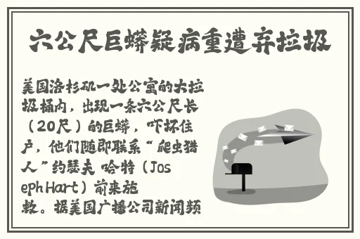 中国高清windows在线优势